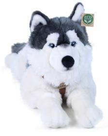 PLYŠ Pes husky s obojkem 60cm ležící Eco-Friendly (plyšová hračka)