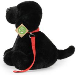 PLYŠ Pes labrador černý 28cm sedící s vodítkem Eco-Friendly (plyšová hračka)