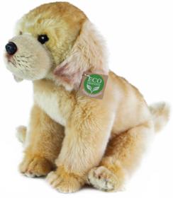PLYŠ Pes labrador sedící 27cm labradorský retrívr Eco-Friendly (plyšová hračka)