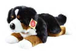 PLYŠ Pes salašnický bernský 40cm pejsek salašník (plyšová hračka)