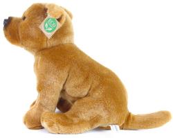 PLYŠ Pes Stafordšírský bulteriér 30cm sedící Eco-Friendly (plyšová hračka)
