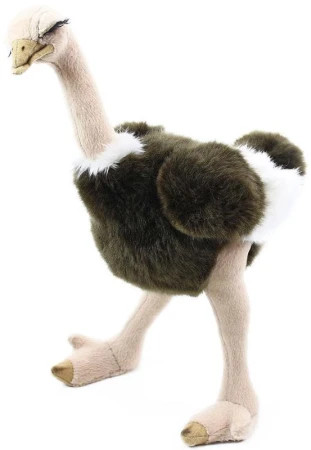 PLYŠ Pštros 32cm (plyšová hračka) PLYŠ Pštros 32cm (plyšová hračka)