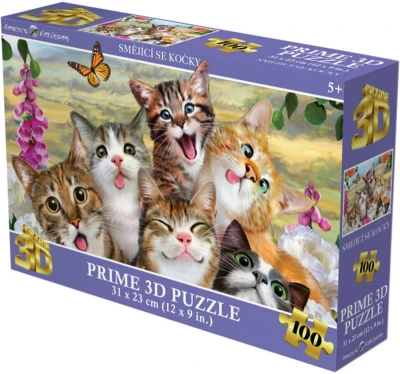 PUZZLE 3D Smějící se kočky 31x23cm 100 dílků skládačka v krabici PUZZLE 3D Smějící se kočky 31x23cm 100 dílků skládačka v krabici