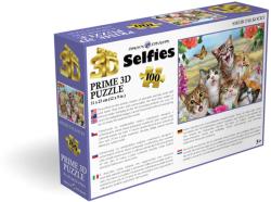 PUZZLE 3D Smějící se kočky 31x23cm 100 dílků skládačka v krabici