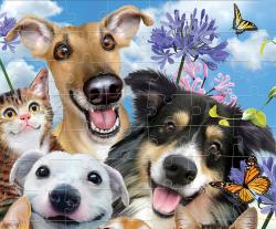 PUZZLE Prime 3D Psi a kočky selfie 31x23cm 100 dílků holografické