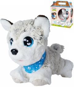 Simba Chi Chi Love Happy Husky interaktivní pejsek na baterie Zvuk