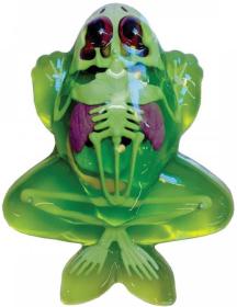 Simba Objevuj Mini laboratoř Pitva zvířátka set se slizem a nástroji 3 druhy