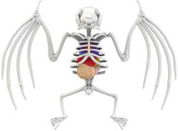 Simba Objevuj Mini laboratoř Pitva zvířátka set se slizem a nástroji 3 druhy