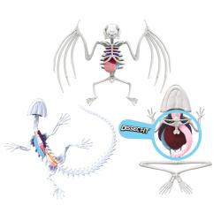 Simba Objevuj Mini laboratoř Pitva zvířátka set se slizem a nástroji 3 druhy