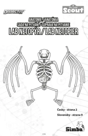 Simba Objevuj: Pitva Netopýra