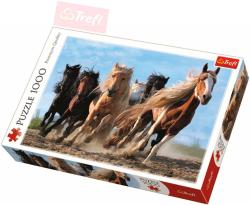 Trefl PUZZLE Foto Cválající koně 1000 dílků 68x48cm skládačka 110446