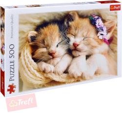 Trefl PUZZLE Foto Spící koťata 500 dílků 48x34cm skládačka 137271