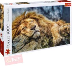 Trefl PUZZLE Foto Spící lev 1000 dílků 68x48cm skládačka 110447
