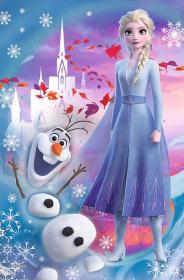 Trefl PUZZLE Frozen 2 (Ledové Království) mini 20x13cm 54 dílků 4 druhy