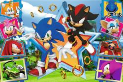Trefl PUZZLE Ježek Sonic (Sonic the Hedgehog) 41x27cm 100 dílků skládačka