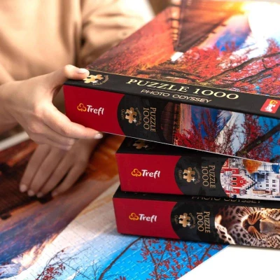 Trefl PUZZLE PREMIUM Čas na čaj Dřevěná chata 68x48cm 1000 dílků