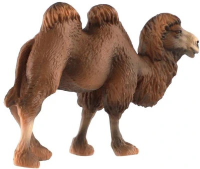Velbloud dvouhrbý 12cm zvířátko plastová figurka Zooted