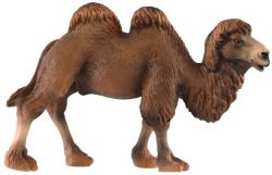 Velbloud dvouhrbý 12cm zvířátko plastová figurka Zooted