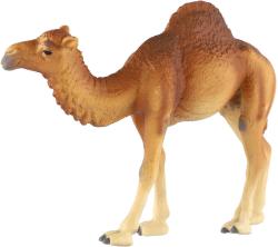 Velbloud jednohrbý 13cm zvířátko plastová figurka Zooted