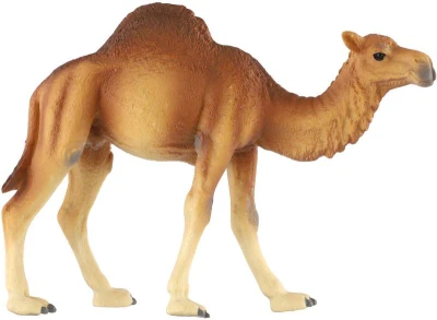 Velbloud jednohrbý 13cm zvířátko plastová figurka Zooted