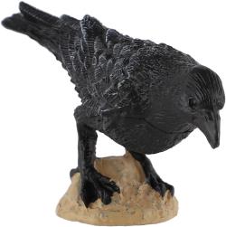 Vrána černá 11cm pták zvířátko plastová figurka Zooted