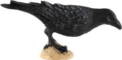 Vrána černá 11cm pták zvířátko plastová figurka Zooted