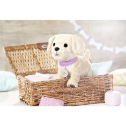 Zapf Creation BABY BORN Můj veselý pejsek s přepravním boxem