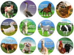 Zvířátko domácí farmářské malé 3-6cm plastová figurka 12 druhů
