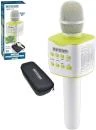 Bontempi Mikrofon bezdrátový karaoke v pouzdrře na baterie USB Bontempi Mikrofon bezdrátový karaoke v pouzdrře na baterie USB
