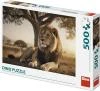 Dino Puzzle Odpočívající lev 47x33cm foto skládačka 500 dílků Dino Puzzle Odpočívající lev 47x33cm foto skládačka 500 dílků