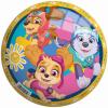 John Míč Paw Patrol (Tlapková Patrola) 23cm balon s potiskem
