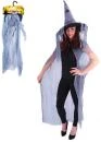 KARNEVAL Plášť kouzelnický + klobouk dospělý KOSTÝM KARNEVAL Plášť kouzelnický + klobouk dospělý KOSTÝM