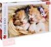 Trefl PUZZLE Foto Spící koťata 500 dílků 48x34cm skládačka 137271 Trefl PUZZLE Foto Spící koťata 500 dílků 48x34cm skládačka 137271